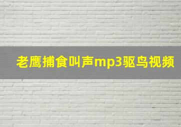 老鹰捕食叫声mp3驱鸟视频