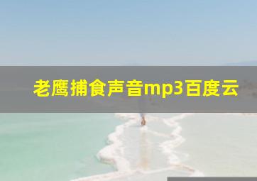 老鹰捕食声音mp3百度云