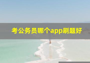 考公务员哪个app刷题好