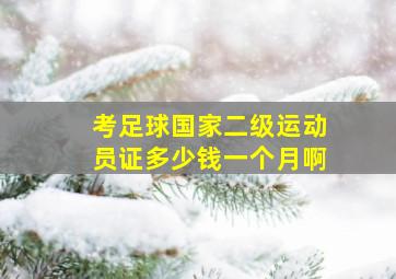 考足球国家二级运动员证多少钱一个月啊