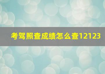 考驾照查成绩怎么查12123