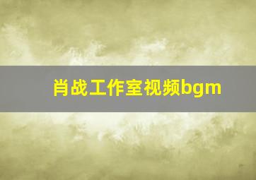 肖战工作室视频bgm