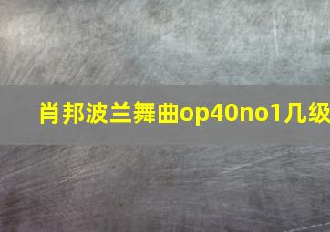 肖邦波兰舞曲op40no1几级