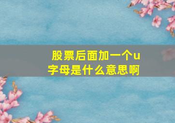 股票后面加一个u字母是什么意思啊