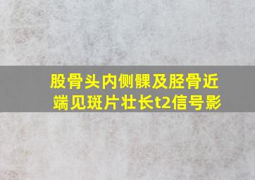 股骨头内侧髁及胫骨近端见斑片壮长t2信号影