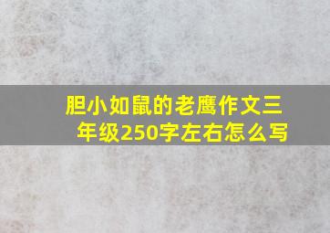 胆小如鼠的老鹰作文三年级250字左右怎么写