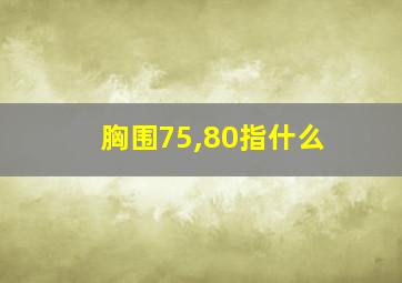 胸围75,80指什么