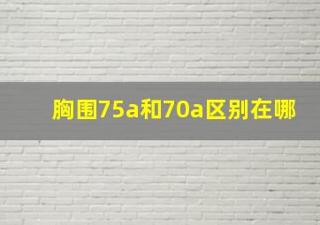 胸围75a和70a区别在哪