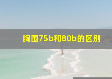 胸围75b和80b的区别