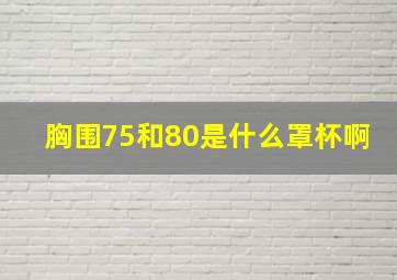 胸围75和80是什么罩杯啊