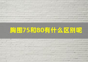 胸围75和80有什么区别呢