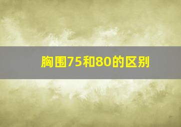 胸围75和80的区别