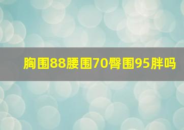 胸围88腰围70臀围95胖吗