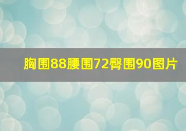 胸围88腰围72臀围90图片