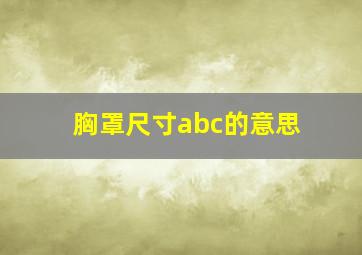 胸罩尺寸abc的意思