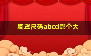 胸罩尺码abcd哪个大