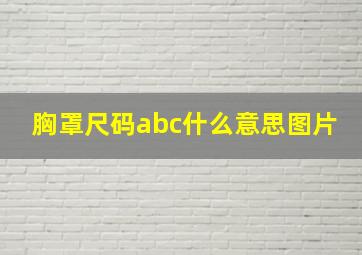 胸罩尺码abc什么意思图片