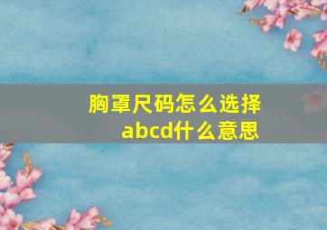 胸罩尺码怎么选择abcd什么意思