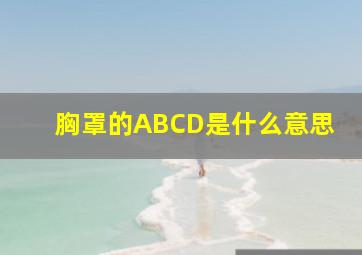 胸罩的ABCD是什么意思