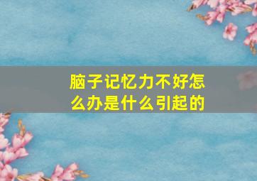 脑子记忆力不好怎么办是什么引起的