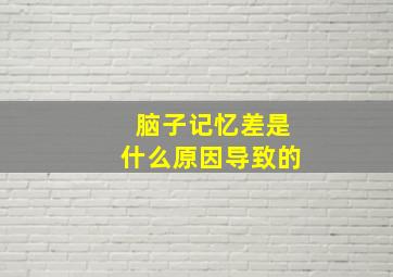 脑子记忆差是什么原因导致的