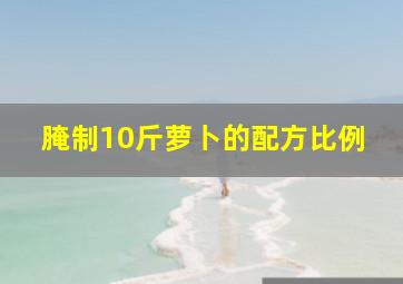 腌制10斤萝卜的配方比例