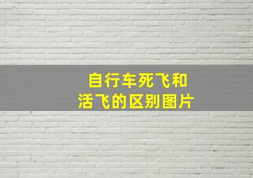 自行车死飞和活飞的区别图片