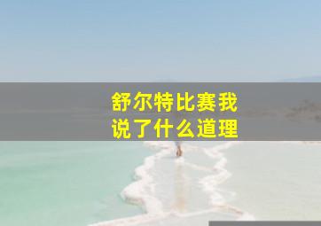 舒尔特比赛我说了什么道理