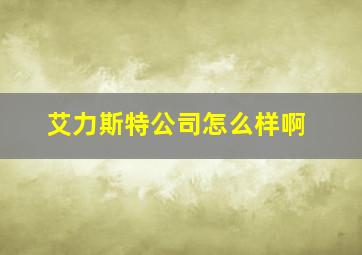 艾力斯特公司怎么样啊