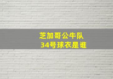 芝加哥公牛队34号球衣是谁