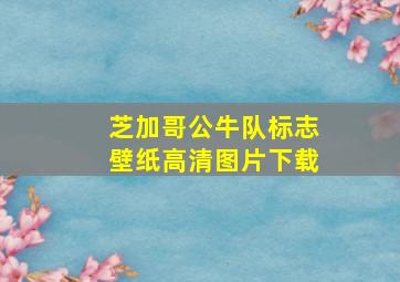 芝加哥公牛队标志壁纸高清图片下载