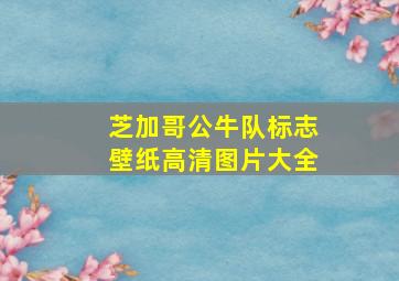 芝加哥公牛队标志壁纸高清图片大全