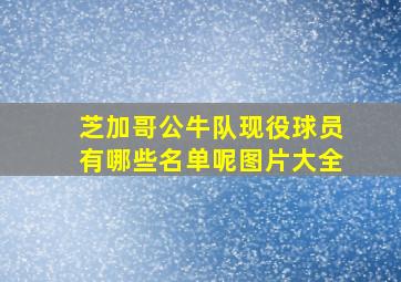 芝加哥公牛队现役球员有哪些名单呢图片大全