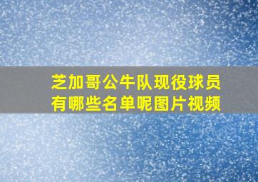 芝加哥公牛队现役球员有哪些名单呢图片视频