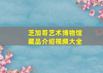 芝加哥艺术博物馆藏品介绍视频大全