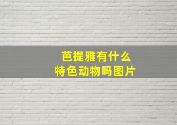 芭提雅有什么特色动物吗图片