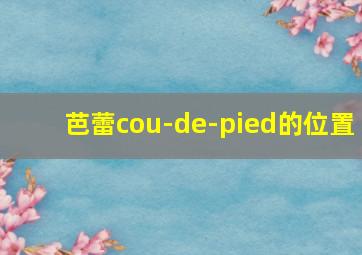 芭蕾cou-de-pied的位置