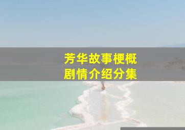 芳华故事梗概剧情介绍分集