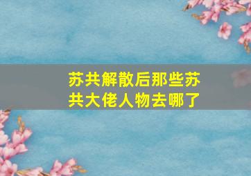 苏共解散后那些苏共大佬人物去哪了