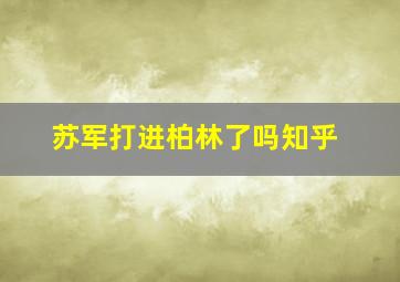 苏军打进柏林了吗知乎