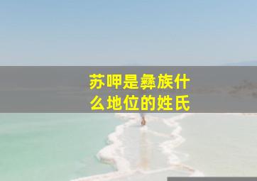 苏呷是彝族什么地位的姓氏