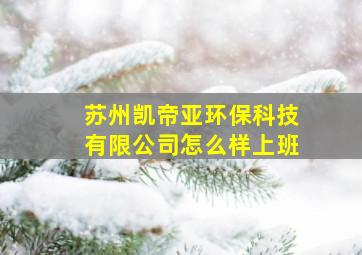 苏州凯帝亚环保科技有限公司怎么样上班