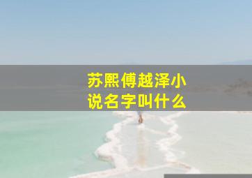 苏熙傅越泽小说名字叫什么