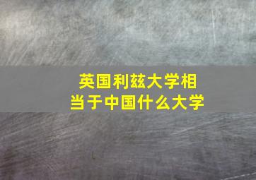 英国利玆大学相当于中国什么大学