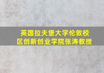 英国拉夫堡大学伦敦校区创新创业学院张涛教授