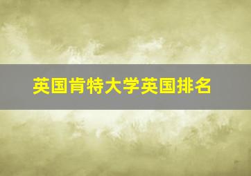 英国肯特大学英国排名