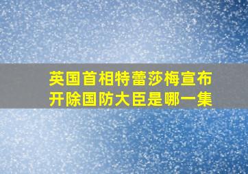 英国首相特蕾莎梅宣布开除国防大臣是哪一集