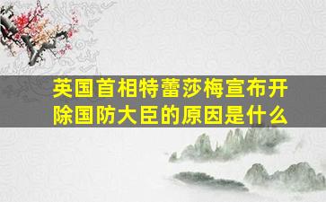 英国首相特蕾莎梅宣布开除国防大臣的原因是什么