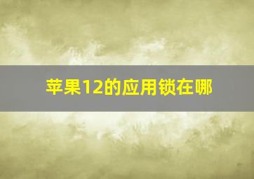 苹果12的应用锁在哪