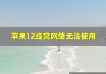 苹果12蜂窝网络无法使用